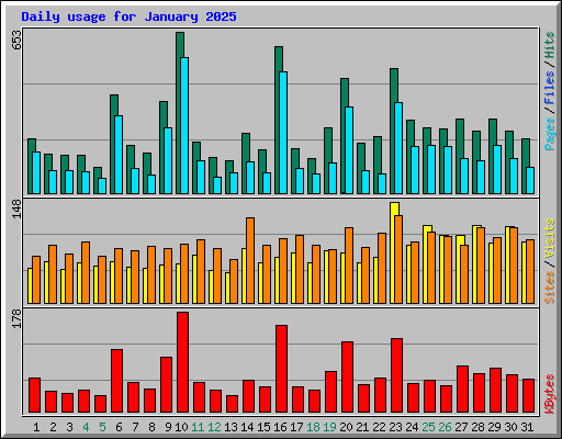 Daily usage for January 2025