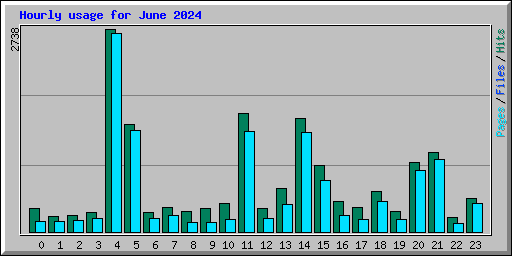 Hourly usage for June 2024