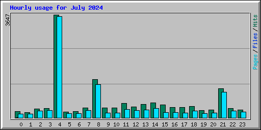 Hourly usage for July 2024