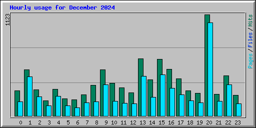 Hourly usage for December 2024