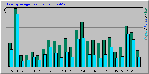 Hourly usage for January 2025