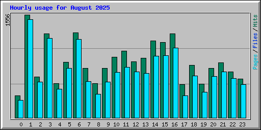 Hourly usage for August 2025